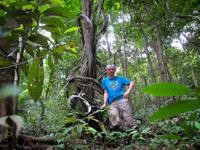 <p> Almost half on the euptychine that I collected come from this one 20m wide spot in the forest  near Rewa. Most of these are bluish. The blue Pierellas and Antirrhea are also fom here. </p>